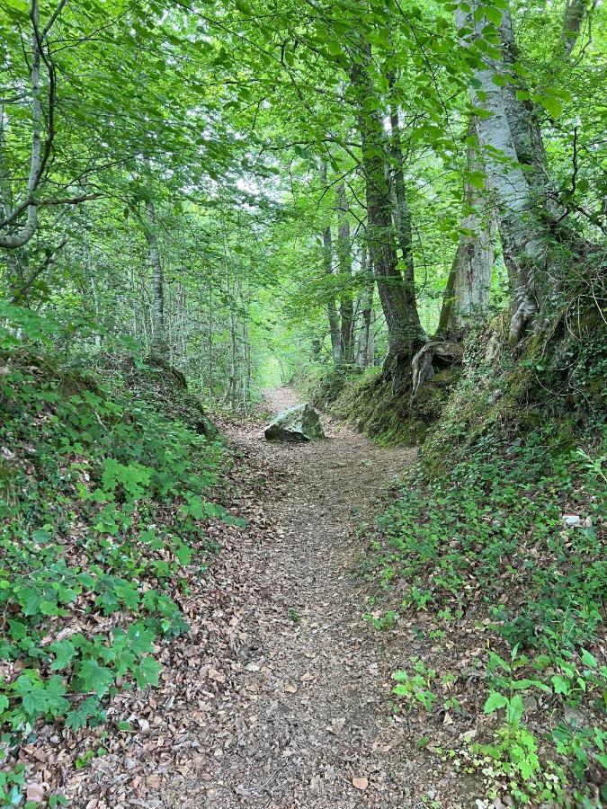 Manoir De La Prise Tarot Panzió Bagnoles de l'Orne Normandie Kültér fotó